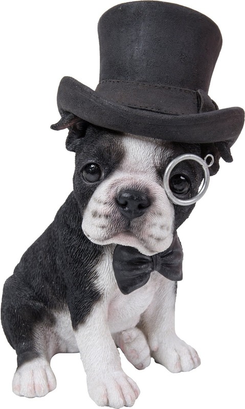 dog top hat